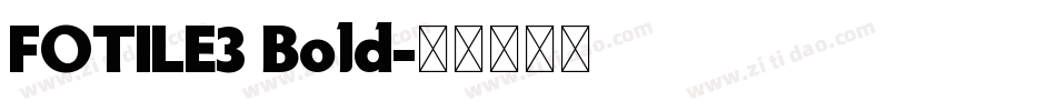 FOTILE3 Bold字体转换